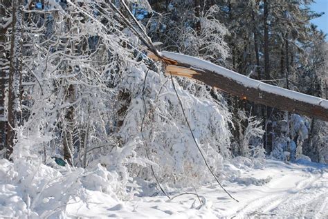 Cold White Landscape after a Large Blizzard Came through Stock Photo - Image of damage, country ...