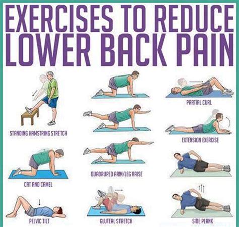 Exercises For Low Back Pain - Complete Fitness Design