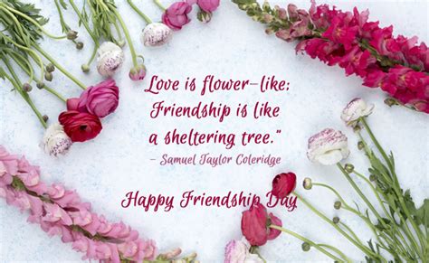 Happy Friendship Day 2018: 10 Quotes On Friendship To Make Your Friends ...