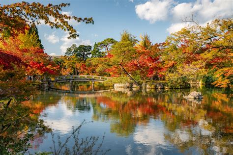 10+ BEST Spots for FALL COLOR in Kyoto, Japan