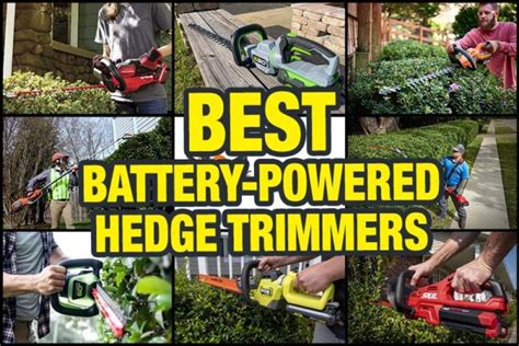 Best Battery-Powered Hedge Trimmer Reviews - PTR