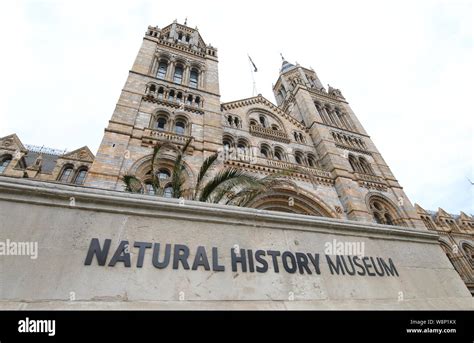 Natural history museum historical architecture London UK Stock Photo ...