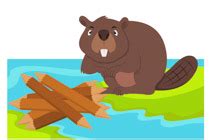 beaver dam dam clipart - Clip Art Library