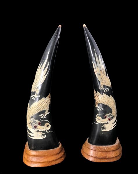 Carved Water Buffalo Horns Depicting Dragons. Vintage Pair. 3D | Etsy