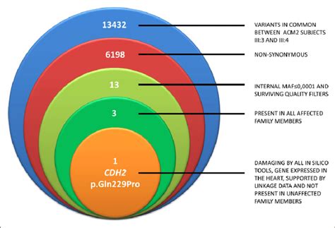 Whole exome sequencing variants filtering scheme. | Download Scientific Diagram