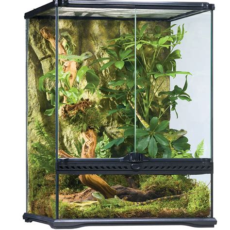 Top 5 Best Crested Gecko Terrariums [November 2024 Review] - ReptileProfy