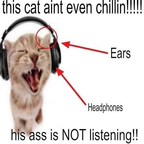 His ass is NOT listening | /r/okbuddyretard | OkBuddyRetard | Know Your ...