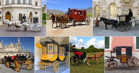 9 Types of Horse-Drawn Carriages (with Images)