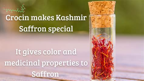 EVERYTHING YOU NEED TO KNOW ABOUT KASHMIR SAFFRON (KESAR)- THE MOST ...