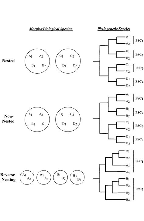 The Impact of Species Concept on Biodiversity Studies (PDF Download ...