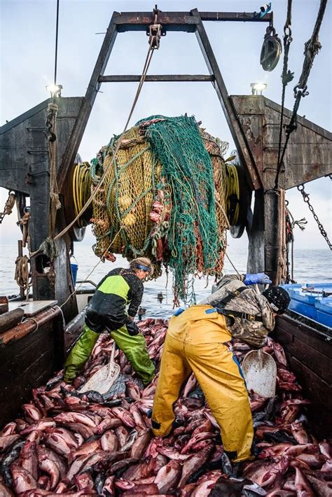 Fishing Gear Types 101: Trawling — Monterey Bay Fisheries Trust