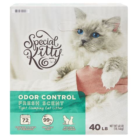 Special Kitty Odor Control Tight Clumping Cat Litter, Fresh Scent, 40 lb - Walmart.com