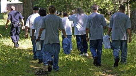 Beekeeping program at Faribault prison teaches inmates job skills ...