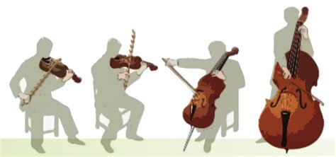 Best Way to Learn The Differences Between Violin Viola Cello And Bass in 2023?