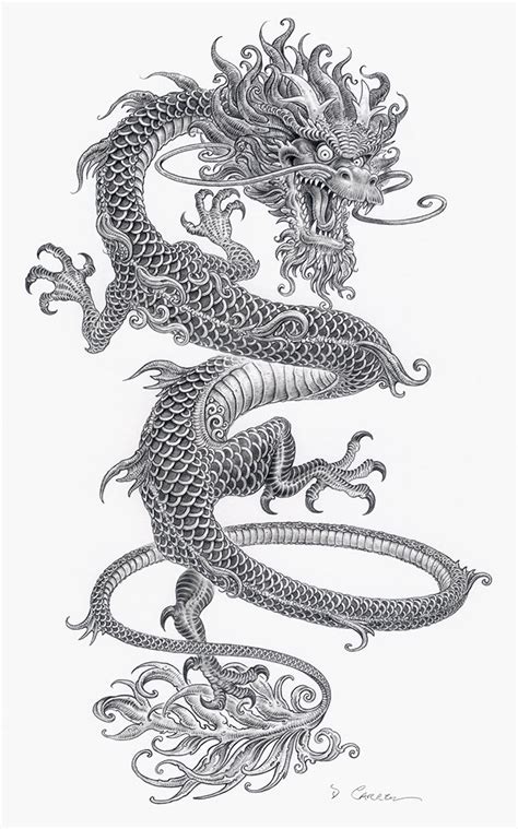 Chinese Culture Dragon Drawings
