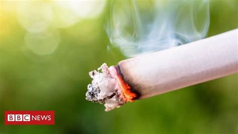 [Health] - Smokers past and present 'live in more pain' : BBCauto