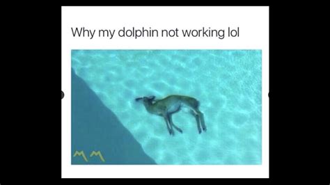 dead deer meme Blank Template - Imgflip