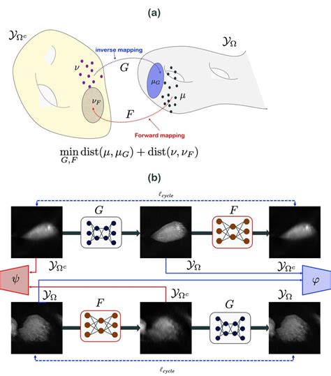(a) Geometric view of CycleGAN (b) The associated CycleGAN architecture ...