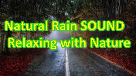 Natural Rain Sound - Relaxing with Nature #viral - YouTube