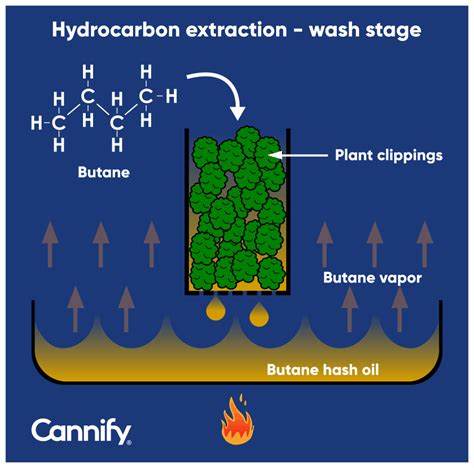 Hydrocarbon extraction