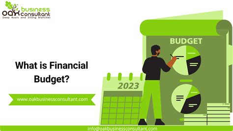 What is Financial Budget? - Oak Business Consultant