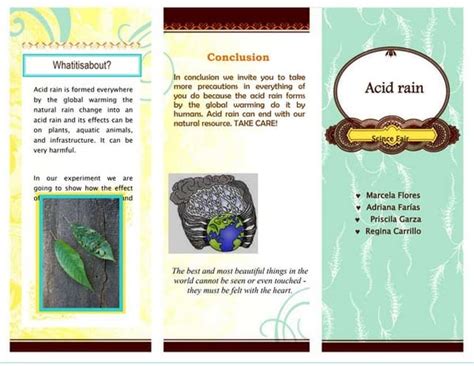 Science fair brochure