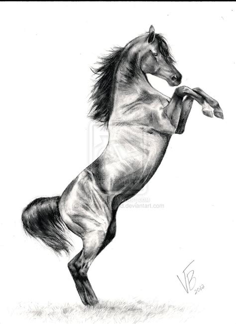 Majestic Arabian Horse Artwork on DeviantArt