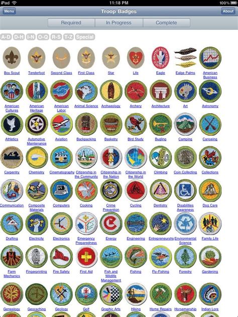 17 Best images about Boy Scout Badges on Pinterest | Boy scout badges ...