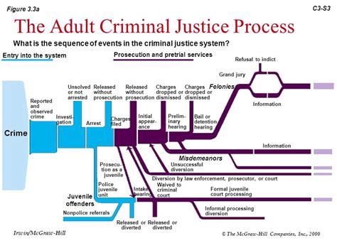 The U.S. Criminal Justice System