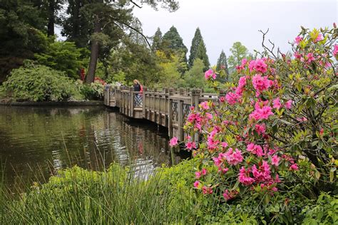 Crystal Springs Rhododendron Garden (Portland, OR): What to Expect