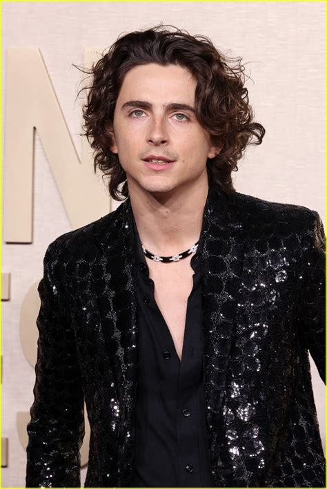 Golden Globes 2024 Timothee Chalamet - Image to u