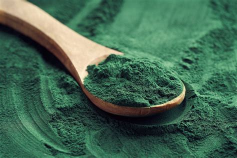 Fresh spirulina algae powder on a spoon on a spirulina background