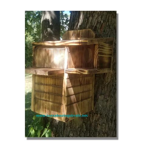 Wildlife Rehab Approved Gray Squirrel Nesting Box Made to - Etsy | Nesting box, Squirrel, Wildlife