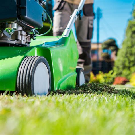 Why Lawn Care Maintenance is Important - Green Army