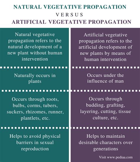 Difference Between Natural and Artificial Vegetative Propagation | Definition, Facts, Methods ...