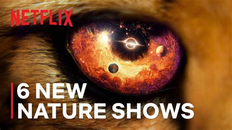 6 Mind Blowing New Nature Documentaries | Only on Netflix - YouTube