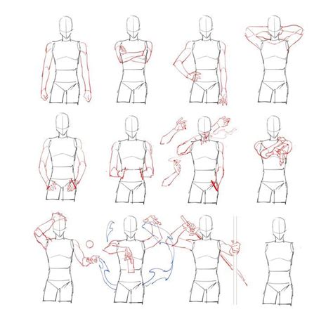 Arm position reference, a useful art sheet showing how to draw arm in different position. | 解剖学的 ...