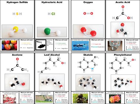 Molecules For Kids