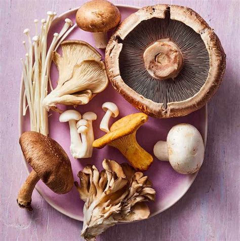 Portobello Mushrooms Controversy Explained: What Is It?