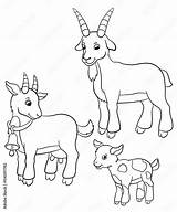 Coloring Pages Farm Animals Goat family Stock Vector  Adobe sketch template
