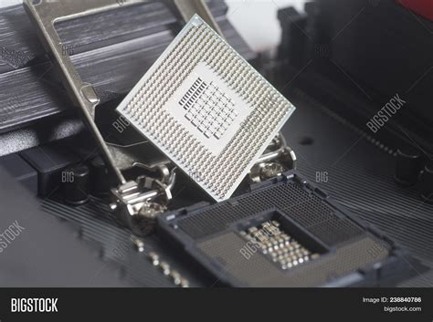 Intel Lga 1151 Cpu Image & Photo (Free Trial) | Bigstock