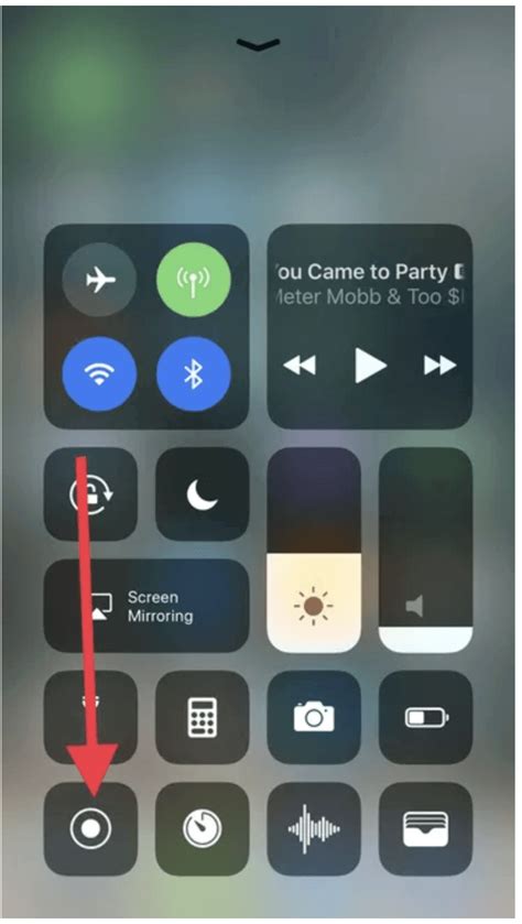 How to Enable Screen Recording in iOS 12 iPhone? - Rene.E Laboratory