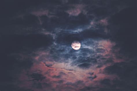 Full Moon in the Sky · Free Stock Photo