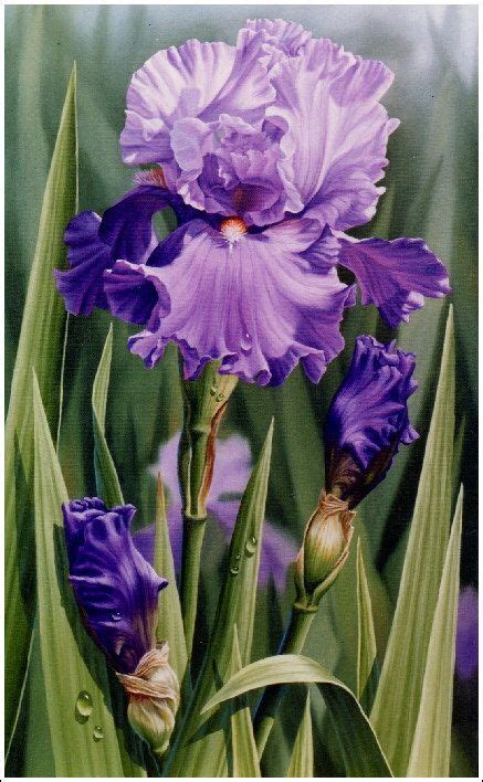 LAVENDER IRIS - oil painting by Judy Sleight | Iris painting, Iris art, Floral painting