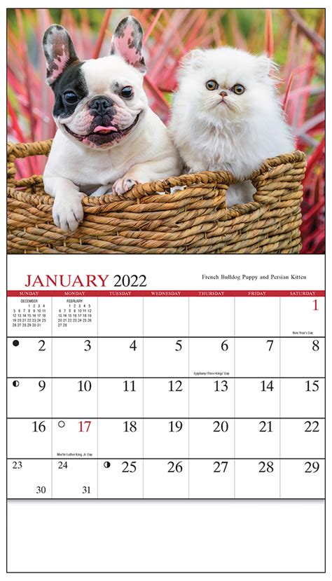 Four Paws Mini Wall Calendar | ValueCalendars.com