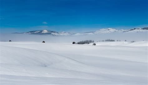 Hayden Valley, Yellowstone National Park | Yellowstone winter, Yellowstone, Yellowstone national ...