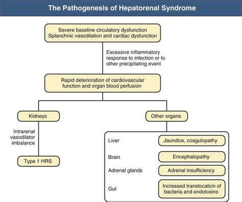 Types Of Hepatorenal Syndrome