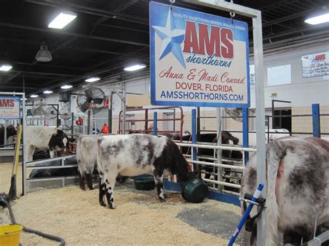 Ranch House Designs Blog: Thank you Shorthorn breeders!