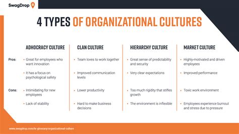 Organizational Culture: Definition, Examples & Types