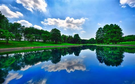 Green trees, pond, reflection HD wallpaper | Wallpaper Flare